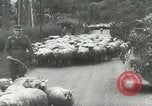 Image of American prisoners France, 1944, second 22 stock footage video 65675059377