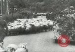Image of American prisoners France, 1944, second 23 stock footage video 65675059377