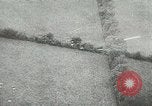 Image of Nazi aircraft France, 1944, second 15 stock footage video 65675059378