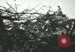 Immagine di I soldati tedeschi Unione Sovietica, 1942, secondo 47 filmato di repertorio 65675059379
