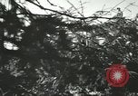 Immagine di I soldati tedeschi Unione Sovietica, 1942, secondo 48 filmato di repertorio 65675059379