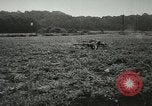 Image of German troops Western Front European Theater, 1944, second 62 stock footage video 65675059381