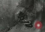 Immagine di Veicoli alleati Anzio Italia, 1944, secondo 56 filmato di repertorio 65675059384