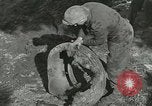 Immagine di Allied jeep Anzio Italia, 1944, secondo 47 filmato di repertorio 65675059385