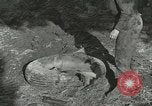 Immagine di Allied jeep Anzio Italia, 1944, secondo 50 filmato di repertorio 65675059385