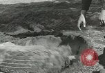 Immagine di Allied jeep Anzio Italia, 1944, secondo 60 filmato di repertorio 65675059385