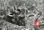 Image of British soldiers Anzio Italy, 1944, second 1 stock footage video 65675059386