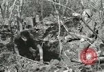 Image of British soldiers Anzio Italy, 1944, second 4 stock footage video 65675059386