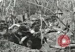Image of British soldiers Anzio Italy, 1944, second 12 stock footage video 65675059386