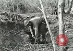 Image of British soldiers Anzio Italy, 1944, second 45 stock footage video 65675059386