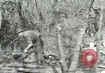 Image of British soldiers Anzio Italy, 1944, second 50 stock footage video 65675059386
