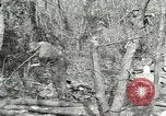 Image of British soldiers Anzio Italy, 1944, second 51 stock footage video 65675059386