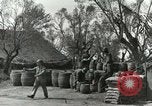 Image of American soldiers Anzio Italy, 1944, second 4 stock footage video 65675059394