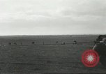Standbild alliierten Panzer Anzio Italien, 1944, aus Sekunde 8 historischem Filmmaterial Videoclip 65675059398