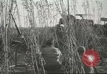 Standbild 5 Soldaten Anzio Italien, 1944, aus Sekunde 13 historischem Filmmaterial Videoclip 65675059403