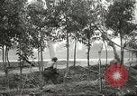 Image of 5th Army soldiers Anzio Italy, 1944, second 17 stock footage video 65675059404