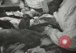 Image of 5th Army soldiers Anzio Italy, 1944, second 58 stock footage video 65675059404