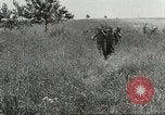 Image of American troops Italy, 1944, second 55 stock footage video 65675059410