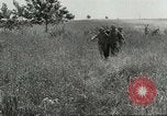 Image of American troops Italy, 1944, second 56 stock footage video 65675059410