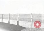 Standbild M4 Tanks Anzio Italien, 1944, aus Sekunde 1 historischem Filmmaterial Videoclip 65675059419