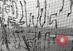 Standbild M4 Tanks Anzio Italien, 1944, aus Sekunde 30 historischem Filmmaterial Videoclip 65675059419