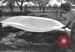 Standbild USA Armee Neapel Italien, 1943, aus Sekunde 60 historischem Filmmaterial Videoclip 65675059423