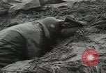 Standbild alliierten Soldaten Italien, 1944, aus Sekunde 44 historischem Filmmaterial Videoclip 65675059424