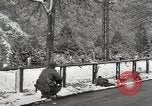 Immagine di 104Th reggimento 103 divisione Austria, 1945, secondo 15 filmato di repertorio 65675059431