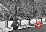 Immagine di 104Th reggimento 103 divisione Austria, 1945, secondo 16 filmato di repertorio 65675059431