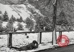Immagine di 104Th reggimento 103 divisione Austria, 1945, secondo 20 filmato di repertorio 65675059431