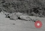 Image of Allied troops Rome Italy, 1944, second 29 stock footage video 65675059437