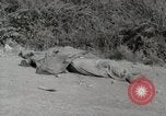 Image of Allied troops Rome Italy, 1944, second 31 stock footage video 65675059437