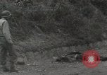 Image of Allied troops Rome Italy, 1944, second 58 stock footage video 65675059437