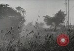Image of Allied troops Rome Italy, 1944, second 38 stock footage video 65675059439