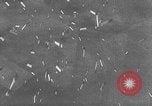 Image of D-Day Normandy invasion Normandy France, 1944, second 15 stock footage video 65675059443