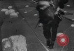 Image of D-Day Normandy invasion Normandy France, 1944, second 38 stock footage video 65675059443