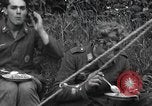 Image of German prisoners Normandy France, 1944, second 7 stock footage video 65675059453