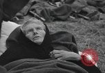 Image of German prisoners Normandy France, 1944, second 45 stock footage video 65675059453