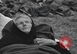 Image of German prisoners Normandy France, 1944, second 48 stock footage video 65675059453