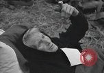 Image of German prisoners Normandy France, 1944, second 55 stock footage video 65675059453