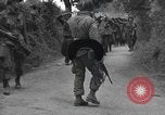 Image Des prisonniers allemands Normandie France, 1944, de la seconde 5 séquences d'archives historiques vidéo 65675059454