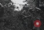 Image Des prisonniers allemands Normandie France, 1944, de la seconde 12 séquences d'archives historiques vidéo 65675059454
