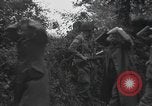 Image Des prisonniers allemands Normandie France, 1944, de la seconde 13 séquences d'archives historiques vidéo 65675059454