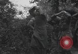 Image Des prisonniers allemands Normandie France, 1944, de la seconde 17 séquences d'archives historiques vidéo 65675059454