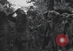 Image Des prisonniers allemands Normandie France, 1944, de la seconde 18 séquences d'archives historiques vidéo 65675059454