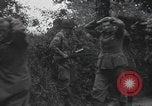 Image Des prisonniers allemands Normandie France, 1944, de la seconde 20 séquences d'archives historiques vidéo 65675059454