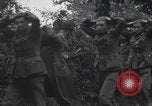 Image Des prisonniers allemands Normandie France, 1944, de la seconde 21 séquences d'archives historiques vidéo 65675059454