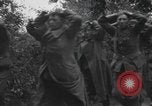 Image Des prisonniers allemands Normandie France, 1944, de la seconde 24 séquences d'archives historiques vidéo 65675059454