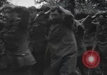 Image Des prisonniers allemands Normandie France, 1944, de la seconde 26 séquences d'archives historiques vidéo 65675059454