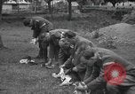 Image Des prisonniers allemands Normandie France, 1944, de la seconde 60 séquences d'archives historiques vidéo 65675059454